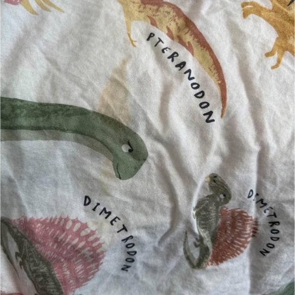 H&M Dinosaur Twin duvet set with accessories - Picture 9 of 9